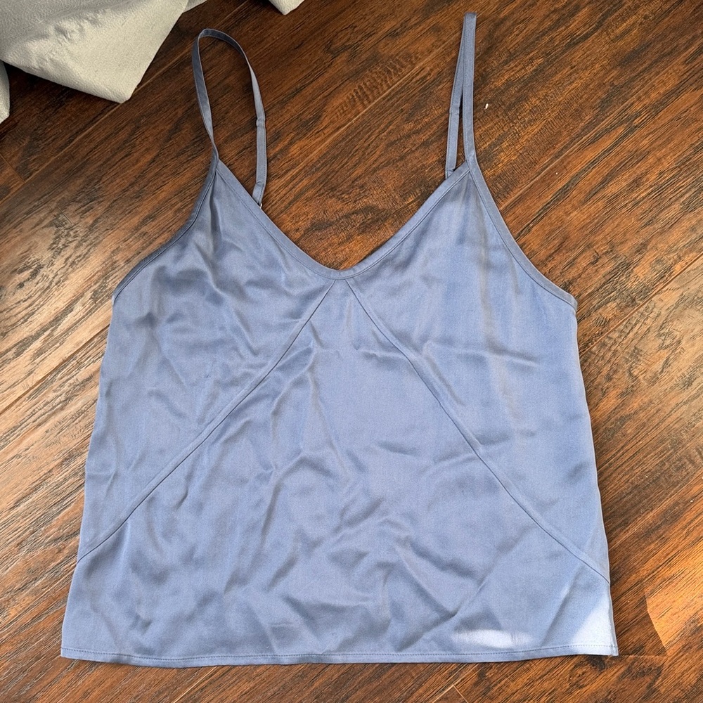 Everlane 100% silk blue camisole